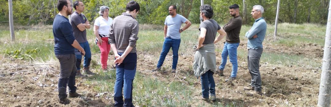 Trabajos de campo con Sorbus, Bosques y ríos y MaderaPlus