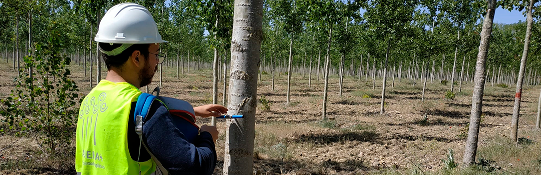 Madera Plus realiza las mediciones de campo con técnicas acústicas